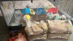 Hamsterkooi + diverse hamster spullen, Ophalen, Kooi, Gebruikt, 60 tot 90 cm