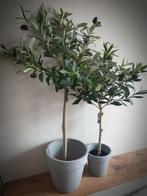 Kunst olijfboom  - olijf op stam - plant 2 maten, Nieuw, Ophalen of Verzenden