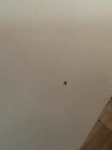 Hoekkast Ikea Billy gratis - afbeelding 5