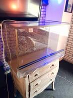 Reptielen Terrarium  L80 x B40 x H50, Ophalen, Gebruikt, Terrarium of Paludarium
