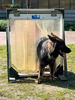 Trainingstoestel agility behendigheid hond, Ophalen