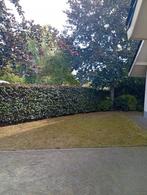 Zoekt u een tuinman in omgeving Pijnacker Zoetermeer, Ophalen of Verzenden