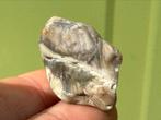 Larsoniet broekzaksteen mineralen, Ophalen of Verzenden, Mineraal