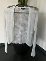 MORGAN grijs dames vest top bolero mt S = 36 met glitters, Zo goed als nieuw, Maat 36 (S), Grijs, Morgan