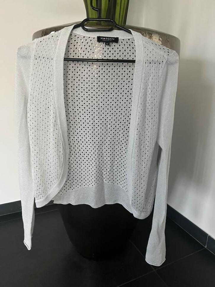 MORGAN grijs dames vest top bolero mt S = 36 met glitters, Kleding | Dames, Truien en Vesten, Zo goed als nieuw, Maat 36 (S), Grijs