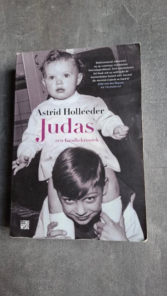 Judas (Astrid Holleeder), Boeken, Biografieën, Zo goed als nieuw, Overige, Ophalen of Verzenden