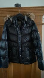 Tommy Hilfiger winterjas, Kleding | Dames, Zwart, Maat 46/48 (XL) of groter, Ophalen of Verzenden, Zo goed als nieuw