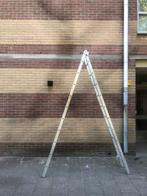 Prof ladder 2x10 sporten, Doe-het-zelf en Verbouw, Ladders en Trappen, Ophalen, Zo goed als nieuw, 4 meter of meer
