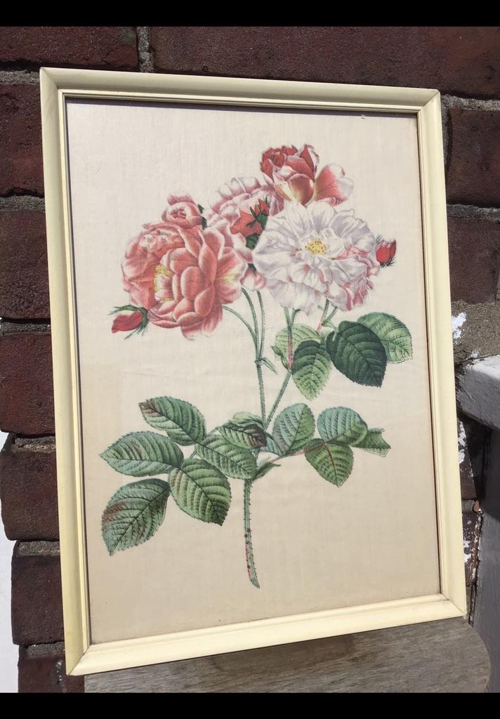 Mooie roos op zijde 29 x 21 cm. Witte en rode roos op zijde., Ophalen of Verzenden