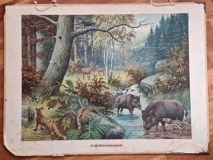 Schoolplaat "In een Duitsch bergwoud" / M.A. Koekkoek, Antiek en Kunst, Antiek | Schoolplaten, Geschiedenis, Ophalen