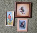 Diverse lijstjes met vogel afbeeldingen en tegeltje, Ophalen, Minder dan 50 cm, Gebruikt, Minder dan 50 cm