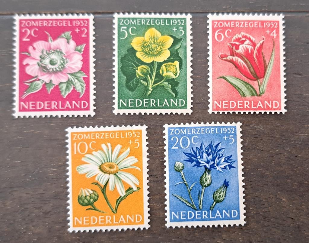 Nederland 1952 nvph 583/587 pfr/pl (Davo), Ophalen of Verzenden, Na 1940, Postfris