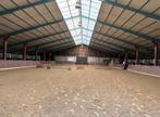 10 stallen te huur, Dieren en Toebehoren, Weidegang, 4 paarden of pony's of meer