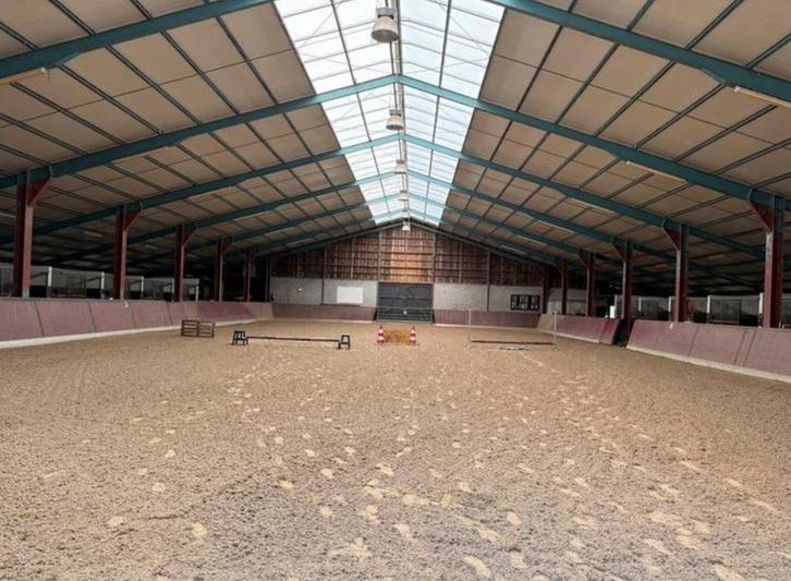10 stallen te huur, Dieren en Toebehoren, Stalling en Weidegang, Stalling, Weidegang, Toebehoren, 4 paarden of pony's of meer