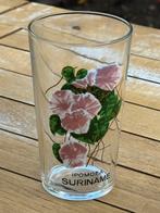 Vintage glas Reims France met bloem en Suriname Ipomoea, Ophalen of Verzenden, Zo goed als nieuw, Frisdrankglas