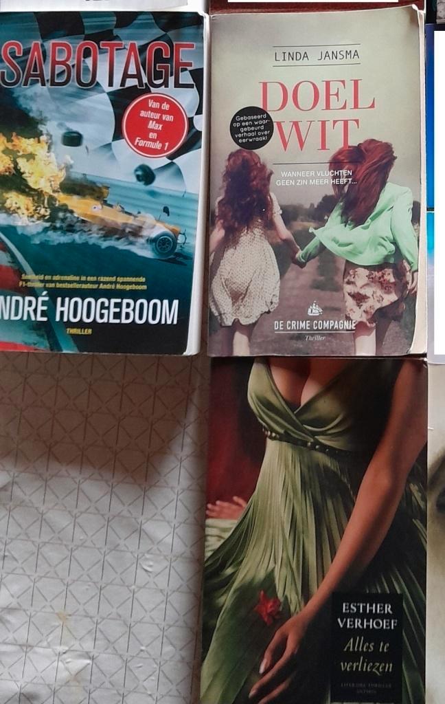 Hoogeboom Andre : Sabotage een formule I-thriller, Boeken, Thrillers, Zo goed als nieuw, Ophalen of Verzenden