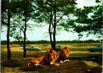 Beekse Bergen Safaripark Hilvarenbeek - 3 ansichtkaarten, Verzamelen, Ansichtkaarten | Nederland, Verzenden, 1960 tot 1980, Gelopen