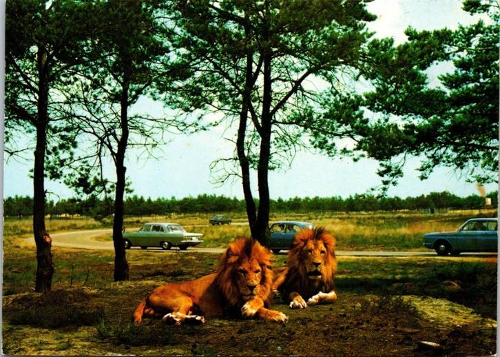 Beekse Bergen Safaripark Hilvarenbeek - 3 ansichtkaarten, Verzamelen, Ansichtkaarten | Nederland, Gelopen, Noord-Holland, 1960 tot 1980
