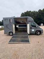 Paardentaxi Wassenaar -Zuid Holland