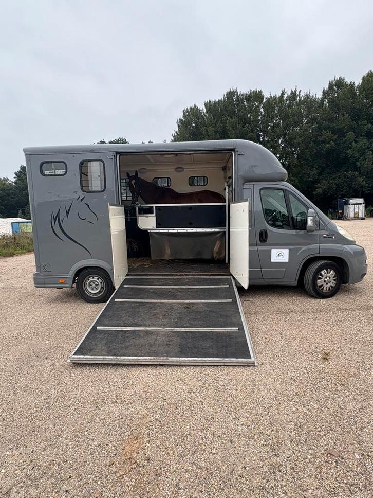 Paardentaxi Wassenaar -Zuid Holland, Diensten en Vakmensen, Dieren | Paarden | Verzorging, Oppas en Les