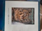 Integrated Principles of Zoology - Hickmann, Hickman, Zo goed als nieuw, Beta, HBO