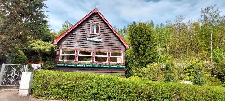 Vakantie (met honden) in de Harz -  in de natuur, Vakantie, Vakantiehuizen | Duitsland, Harz, Overige typen, Landelijk, In bergen of heuvels