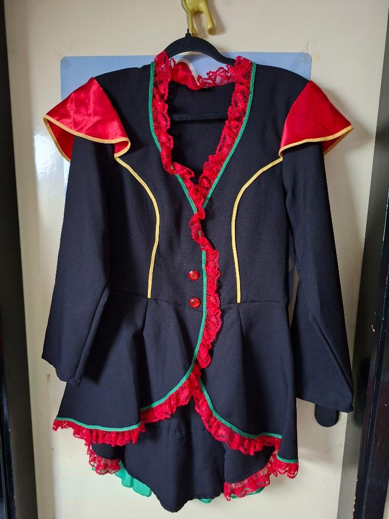 Mooie nette carnaval jas dames maat m/l, Kleding | Dames, Carnavalskleding en Feestkleding, Ophalen of Verzenden, Zo goed als nieuw