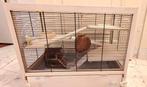 Ferplast Hamsterkooi Hamsterville - Dierenverbl, Ophalen, Hond