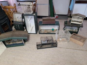 Diverse vogelkooien beschikbaar voor biedingen