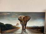 Olifant poster / foto op pvc/alu. sandwich paneel 100x50, Huis en Inrichting, Woonaccessoires | Schilderijen, Tekeningen en Foto's