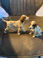 Mooie collectie porseleinen hondjes, diverse rassen., Antiek en Kunst, Antiek | Porselein, Ophalen of Verzenden