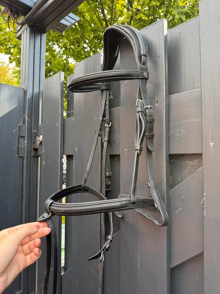 Trust hoofdstel Geneva, Dieren en Toebehoren, Paarden en Pony's | Hoofdstellen en Tuigage, Nieuw, Ophalen of Verzenden