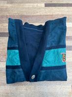 Burberry Vest Blauw/Groen - Maat 6, Kleding | Heren, Truien en Vesten, Ophalen of Verzenden, Gedragen, Overige maten, Blauw