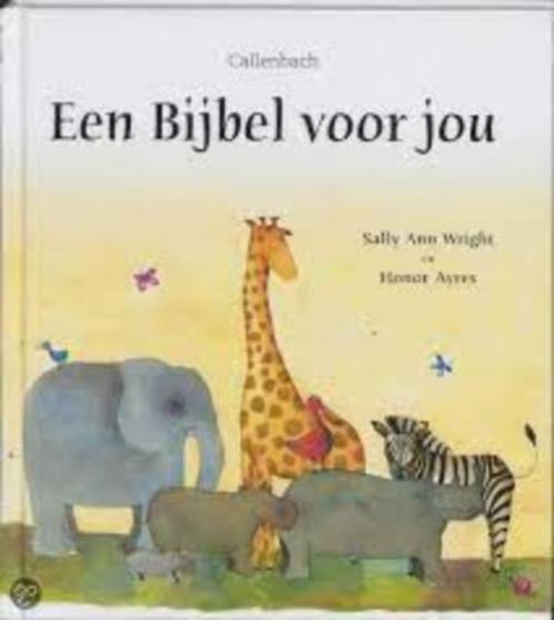 EEN BIJBEL VOOR JOU / Kinderbijbel, Boeken, Godsdienst en Theologie, Zo goed als nieuw, Christendom | Katholiek, Christendom | Protestants