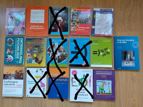 Veel pabo studieboeken. Per stuk of als pakket te koop, Boeken, Studieboeken en Cursussen, Zo goed als nieuw, HBO, Beta, Ophalen of Verzenden