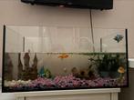 Vissen aquarium, Dieren en Toebehoren, Vissen | Aquaria en Toebehoren, Ophalen, Zo goed als nieuw, Leeg aquarium