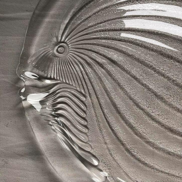 2 Feestelijke opdienschotels van glas i.d.vorm van ‘n vis., Huis en Inrichting, Woonaccessoires | Onderzetters, Zo goed als nieuw