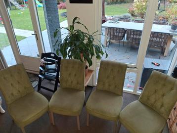 4 mooie stoelen beschikbaar voor biedingen
