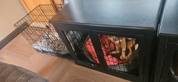 Hondenbench, Dieren en Toebehoren, Hondenbenches, Ophalen