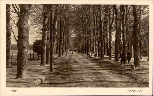 Ede Boschlaan uitg Het wapen van Ede, Verzamelen, Ansichtkaarten | Nederland, Ongelopen, Gelderland, Voor 1920, Verzenden