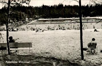 Appelscha- Zwembad beschikbaar voor biedingen