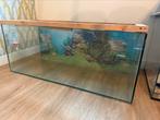 Knaagdier aquarium 100cm, Zo goed als nieuw, Hok, 75 tot 110 cm, Ophalen
