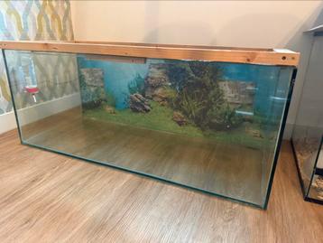Knaagdier aquarium 100cm beschikbaar voor biedingen