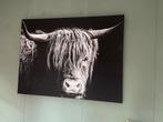 Canvas schotse hooglander 100x75 cm te koop, Antiek en Kunst, Ophalen