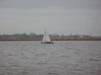 Open zeilboot Flying arrow, Watersport en Boten, Ophalen, Gebruikt, Schakel, 3 tot 6 meter