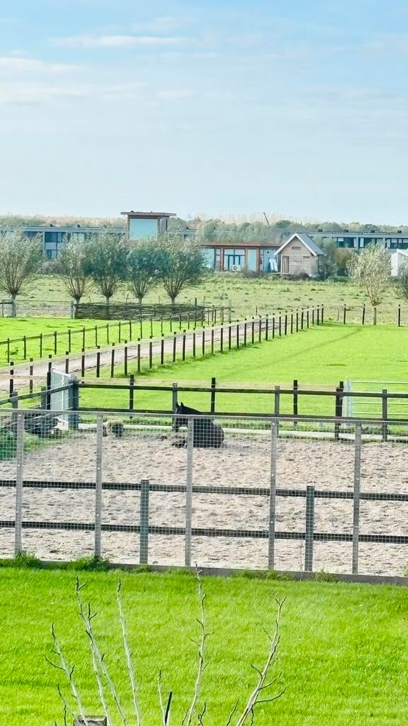 Stal met weide omgeving Almere, Dieren en Toebehoren, Stalling en Weidegang, Stalling