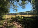 Te huur: 1,5 hectare weiland met stapmolen, manege en 8 stal, Weidegang, 4 paarden of pony's of meer