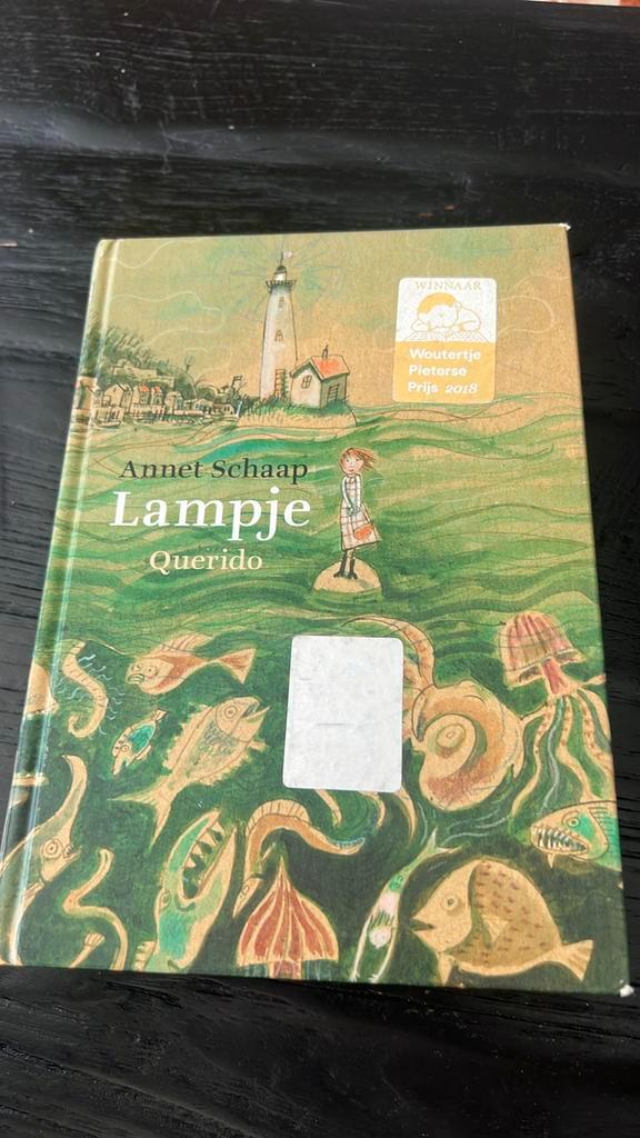 Annet Schaap - Lampje, Boeken, Kinderboeken | Jeugd | 10 tot 12 jaar, Gelezen, Non-fictie, Ophalen of Verzenden