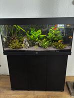 Zeer complete Juwel rio 180 incl. helialux/biomaster/CO2 set, Ophalen, Gebruikt, Gevuld zoetwateraquarium