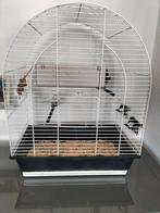 Kooi met koppel kanaries witte man en bonte kuif pop, Ophalen, Zo goed als nieuw, Vogelkooi